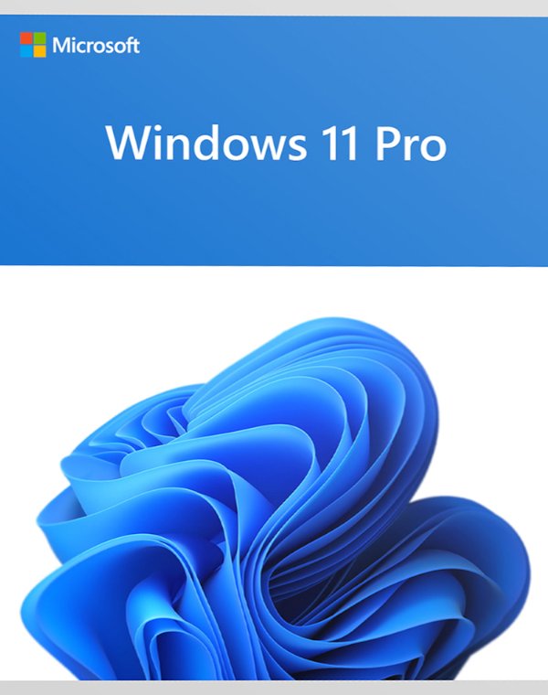 Win 11 Pro 64Bit Eng Intl 1pk DSP OEI DVD