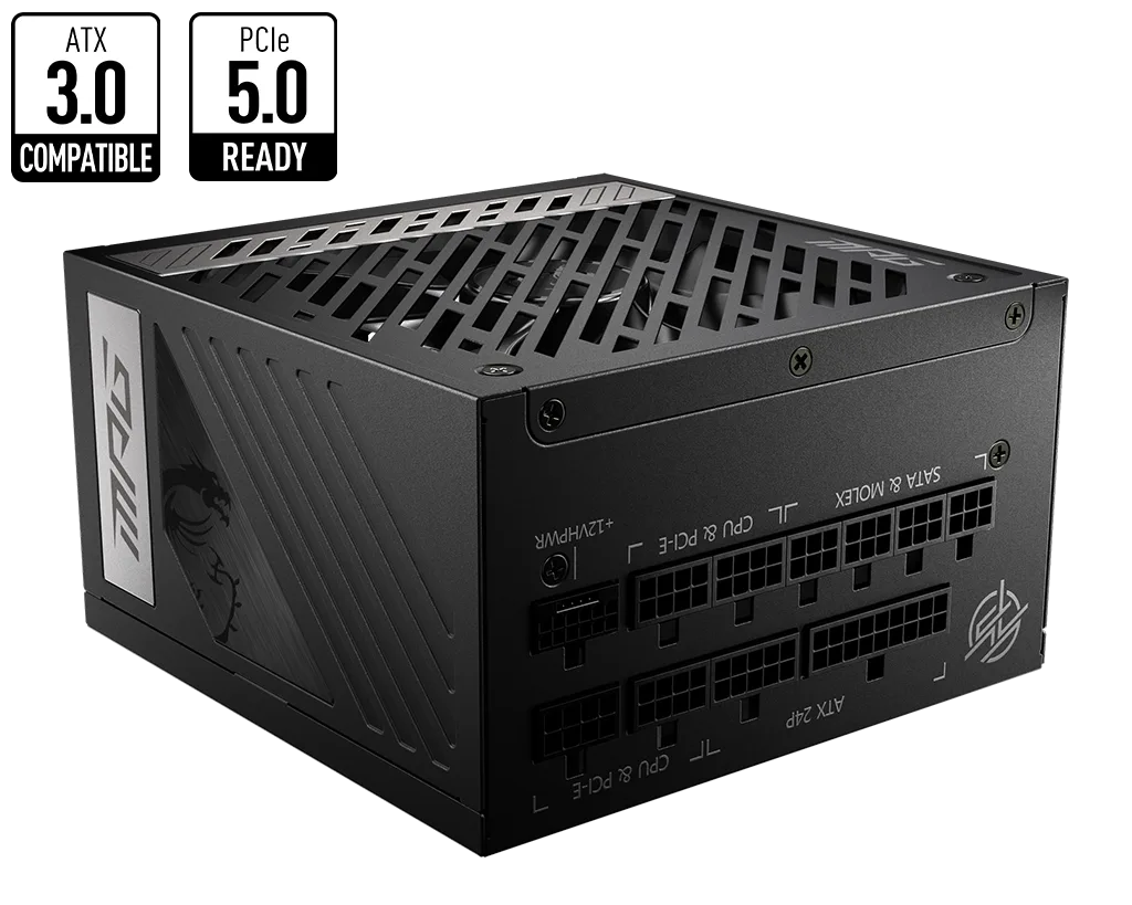 MSI MPG A1000G PCIE5 80+ GOLD