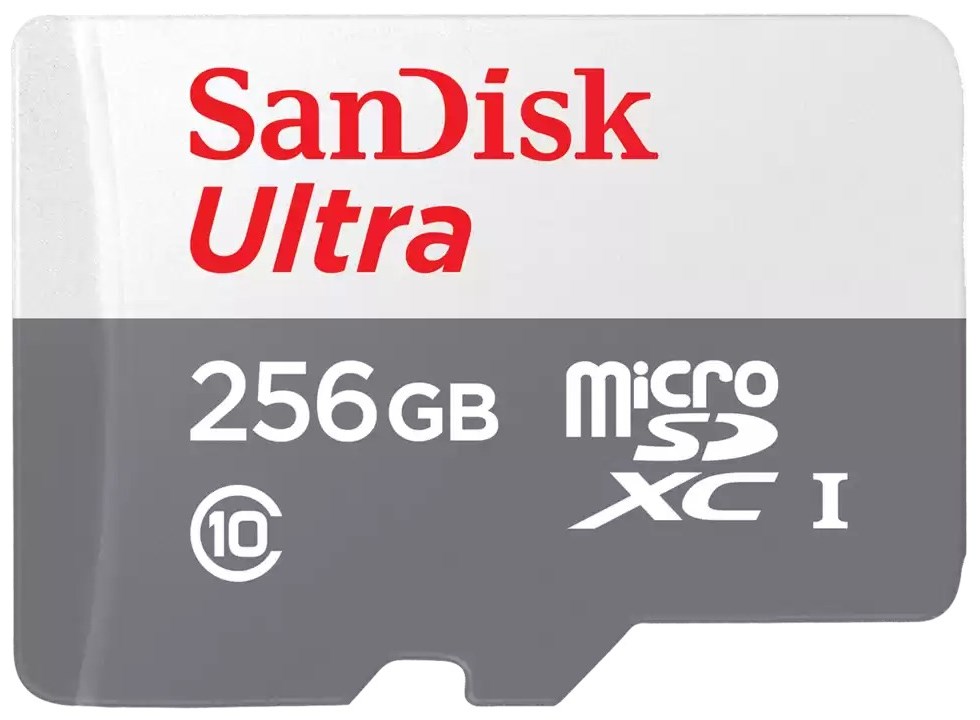 256GB MicroSDHC Class 10 100MB/s Sandisk